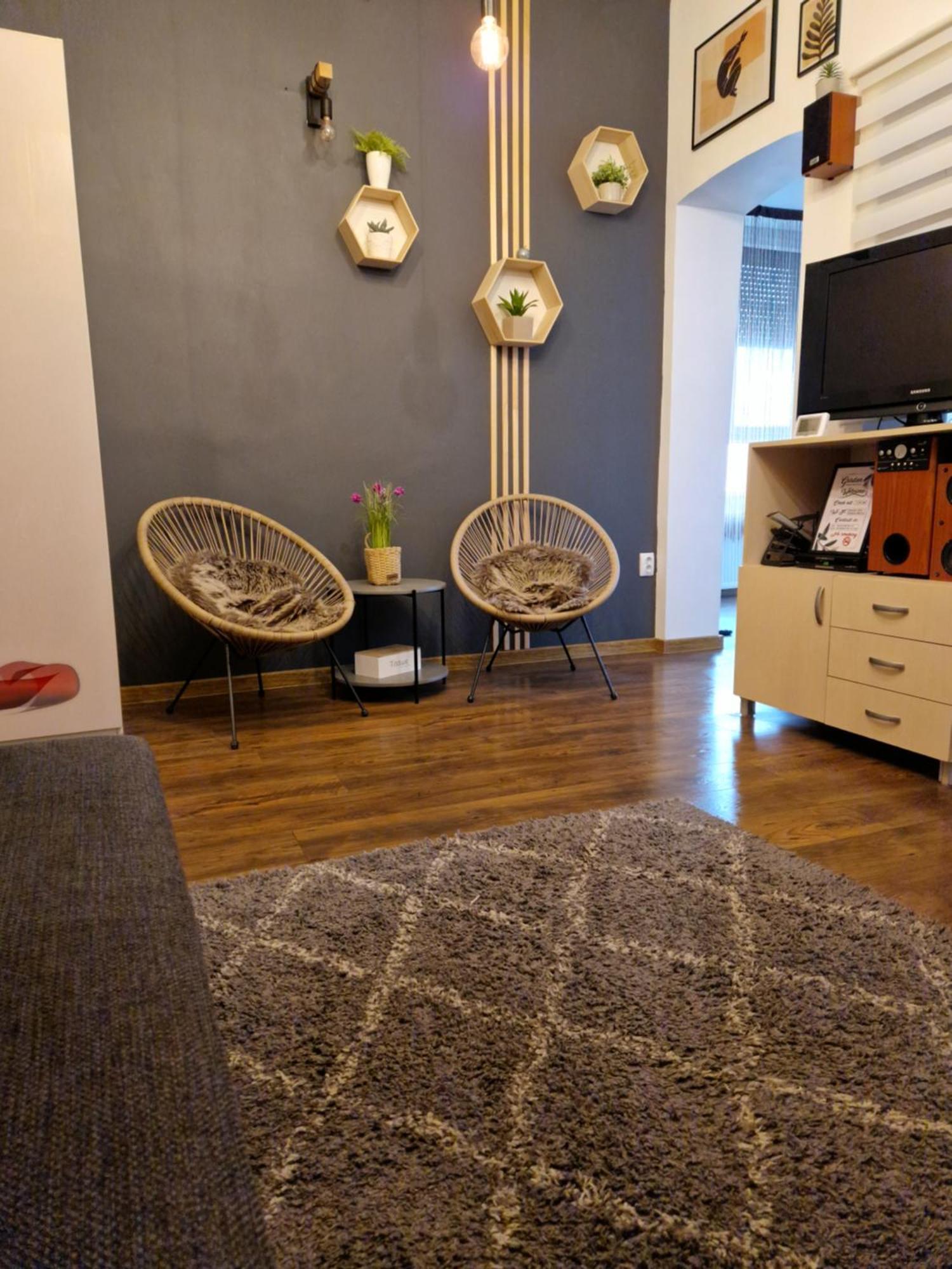 Garden Apartment Satu Mare Luaran gambar